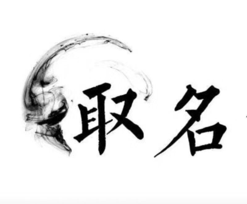  大观宝宝取名 大师一对一人工起名